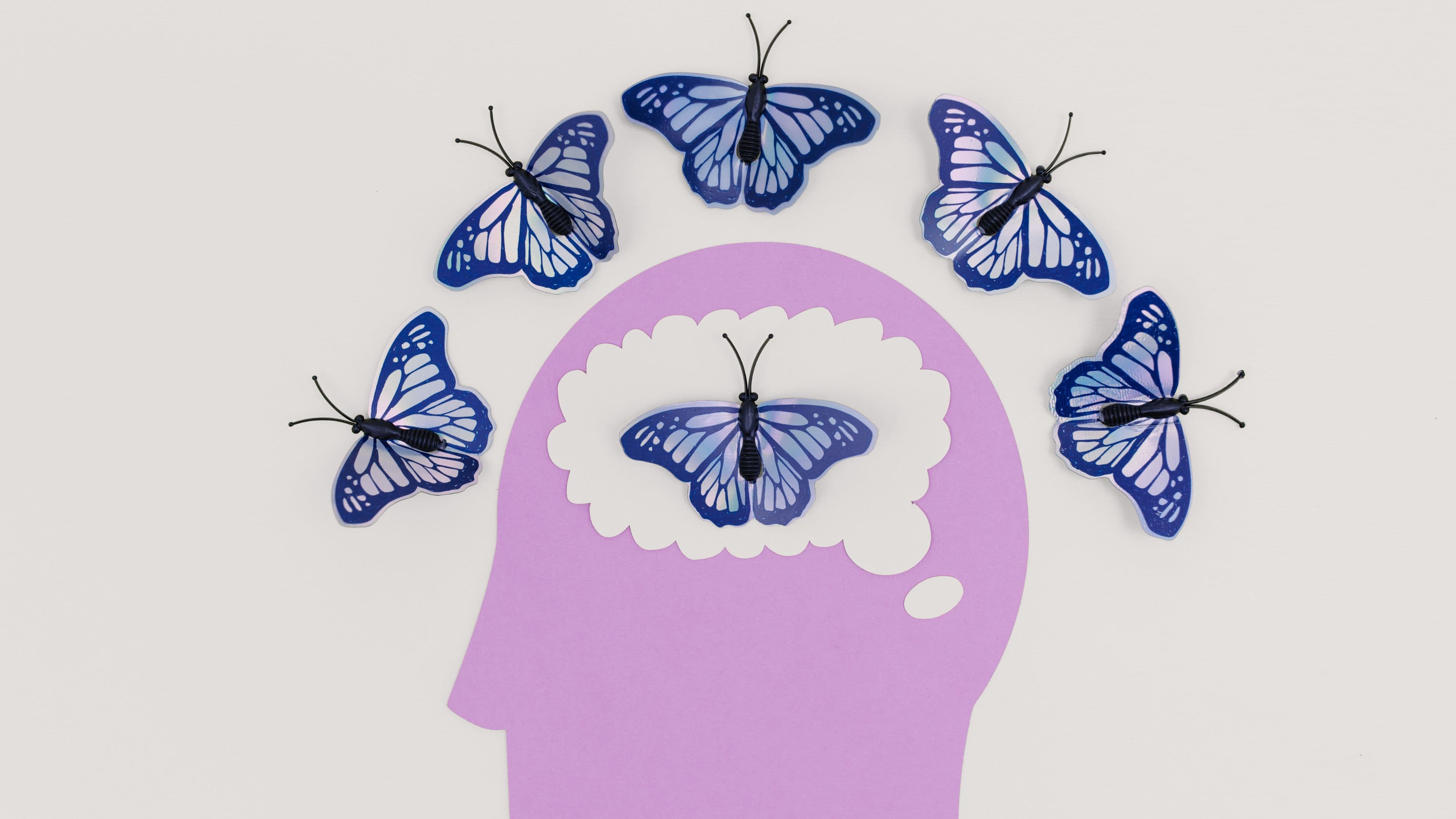 How to Optimize Adenosine Clearance for Sustained Mental Energy