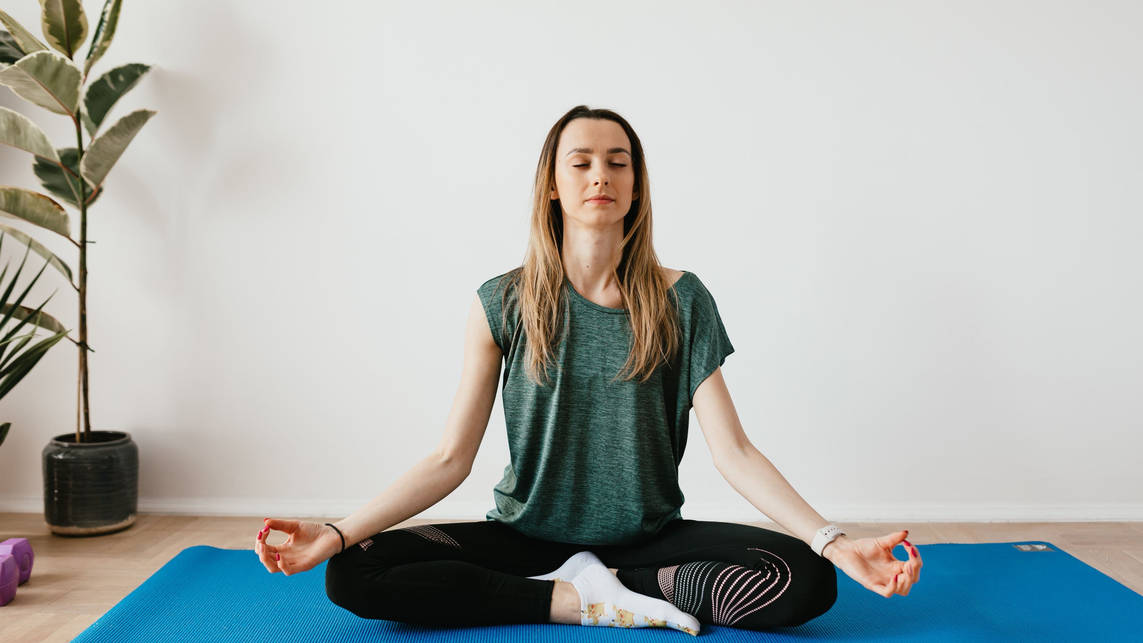 Braintap Vs Traditional Meditation: What the Data Shows