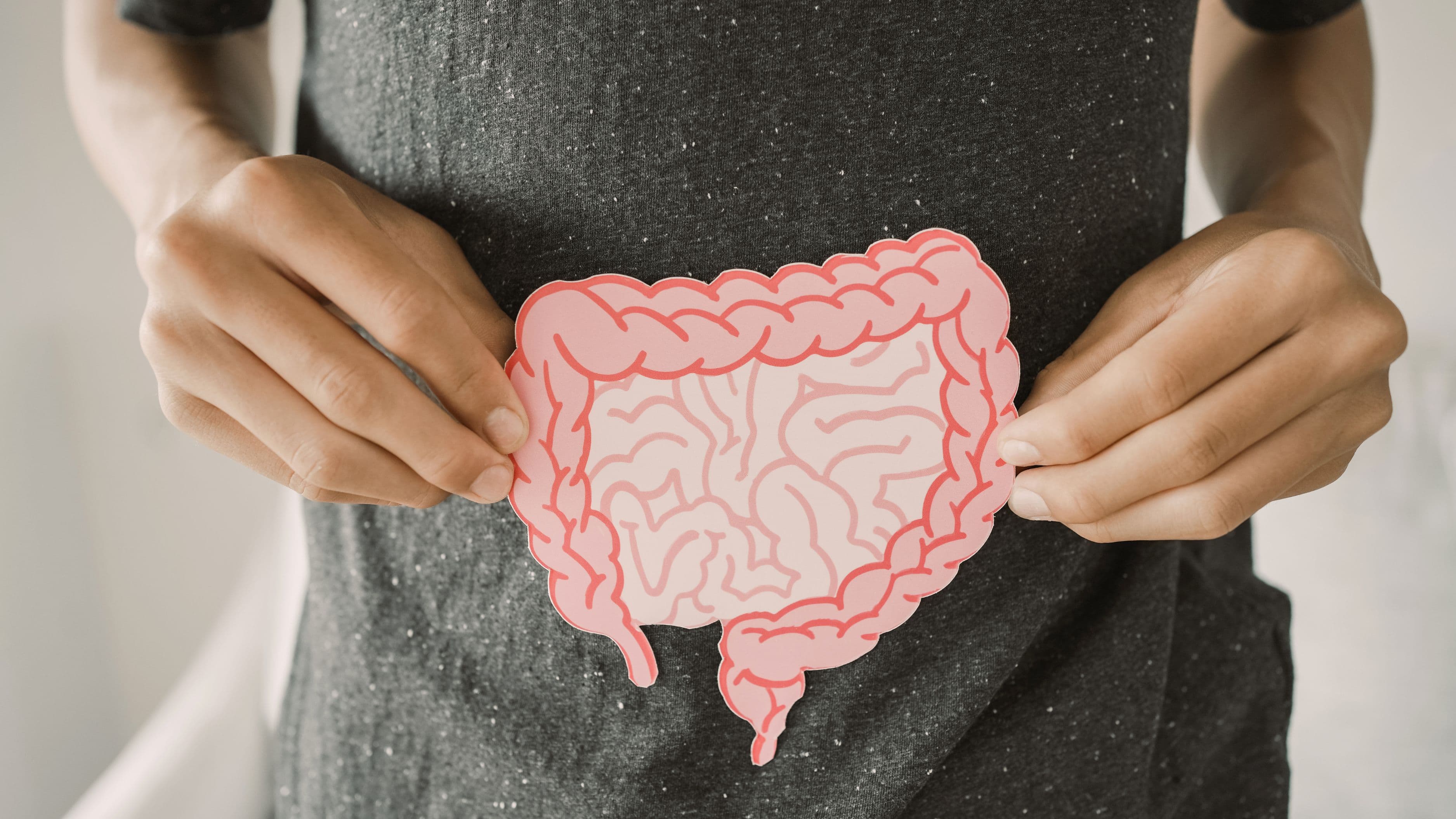 The Carnivore Diet for Gut Healing: Evidence Vs Anecdote