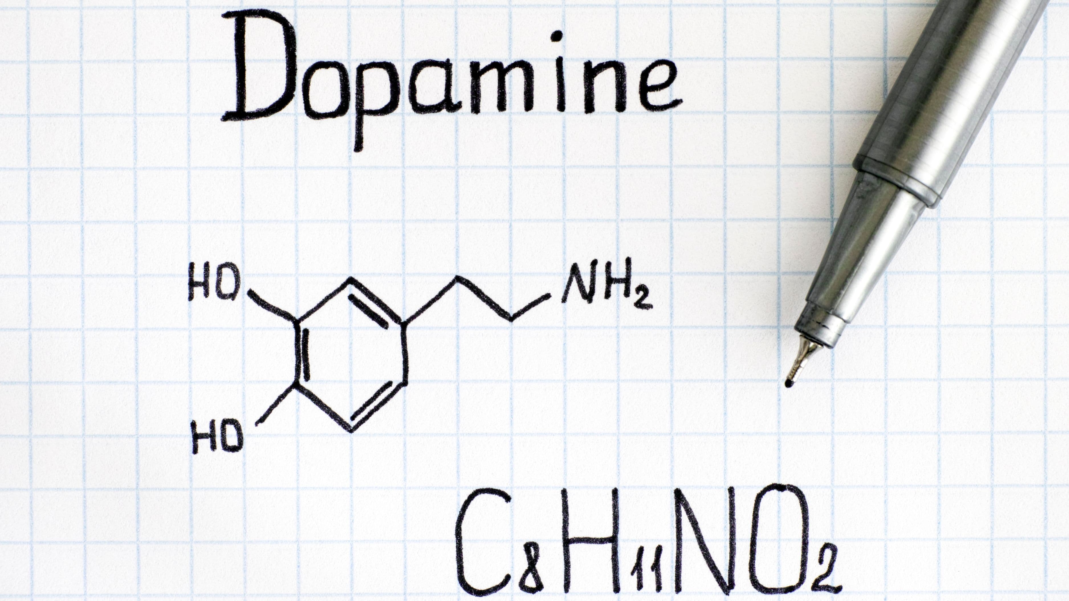 Dopamine Detox Protocols: What the Research Actually Says