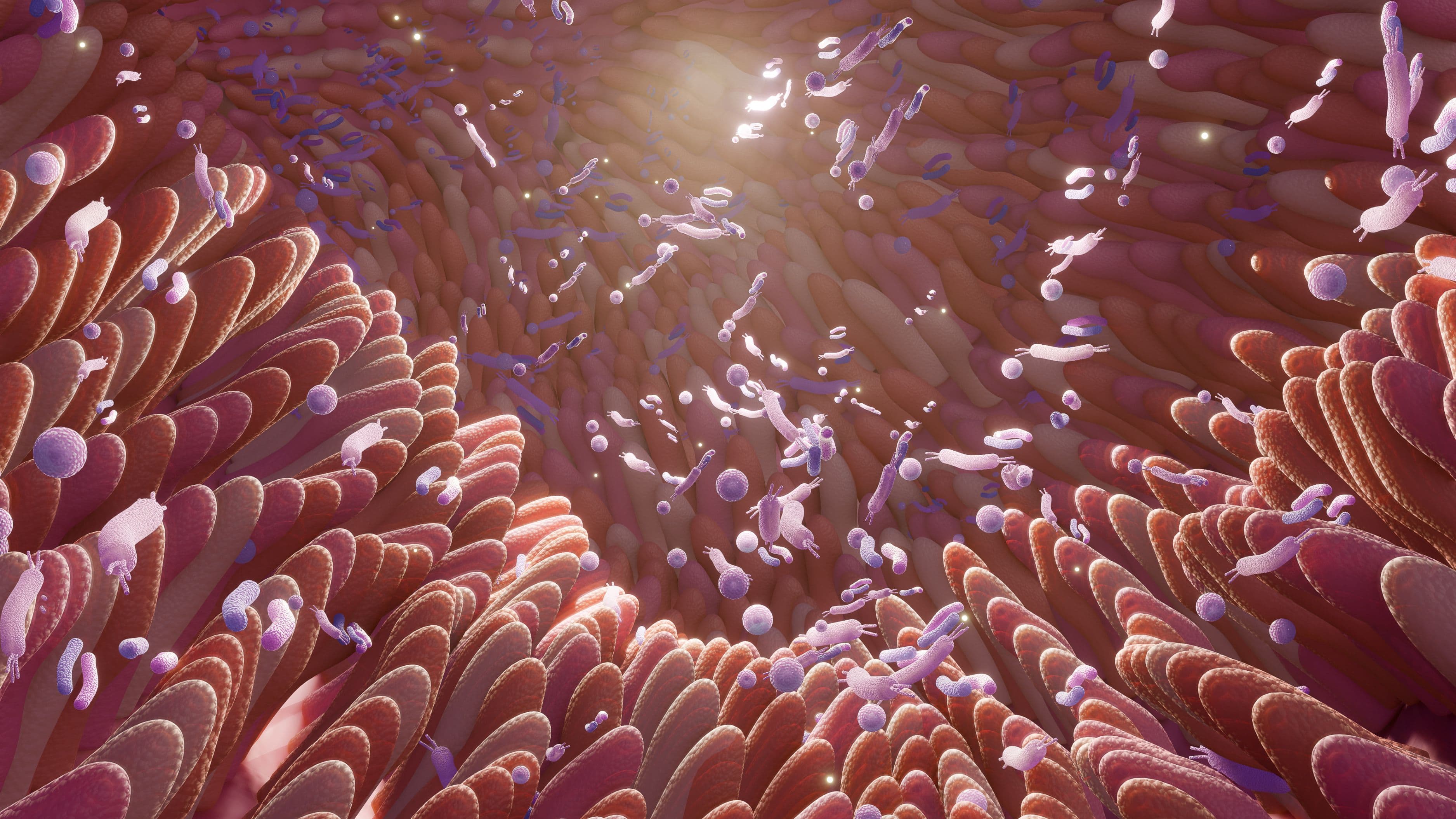 How to Interpret a Gut Microbiome Test Without a Gastroenterologist