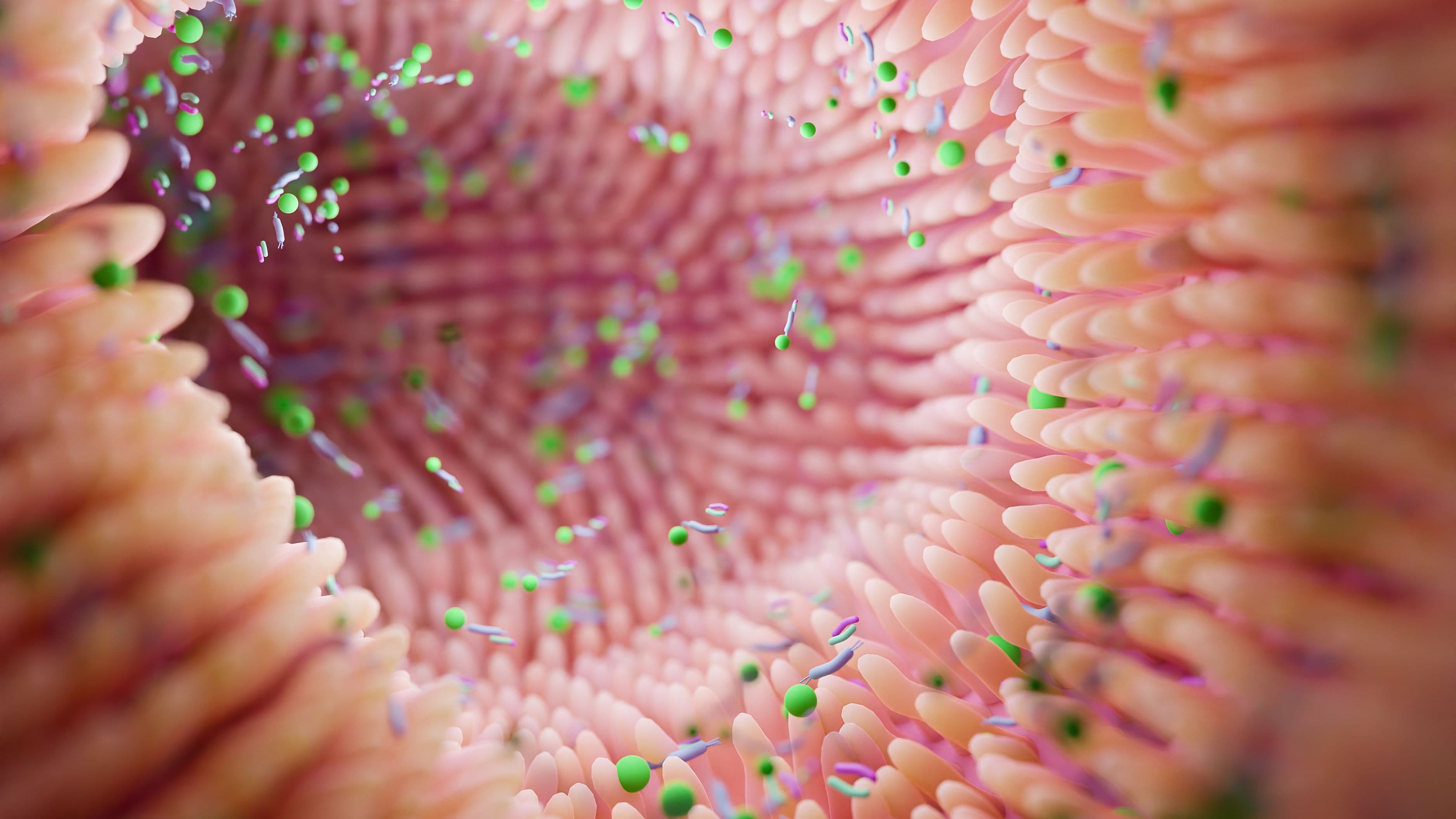 How Polyphenol Loading Affects the Gut Microbiome Profile