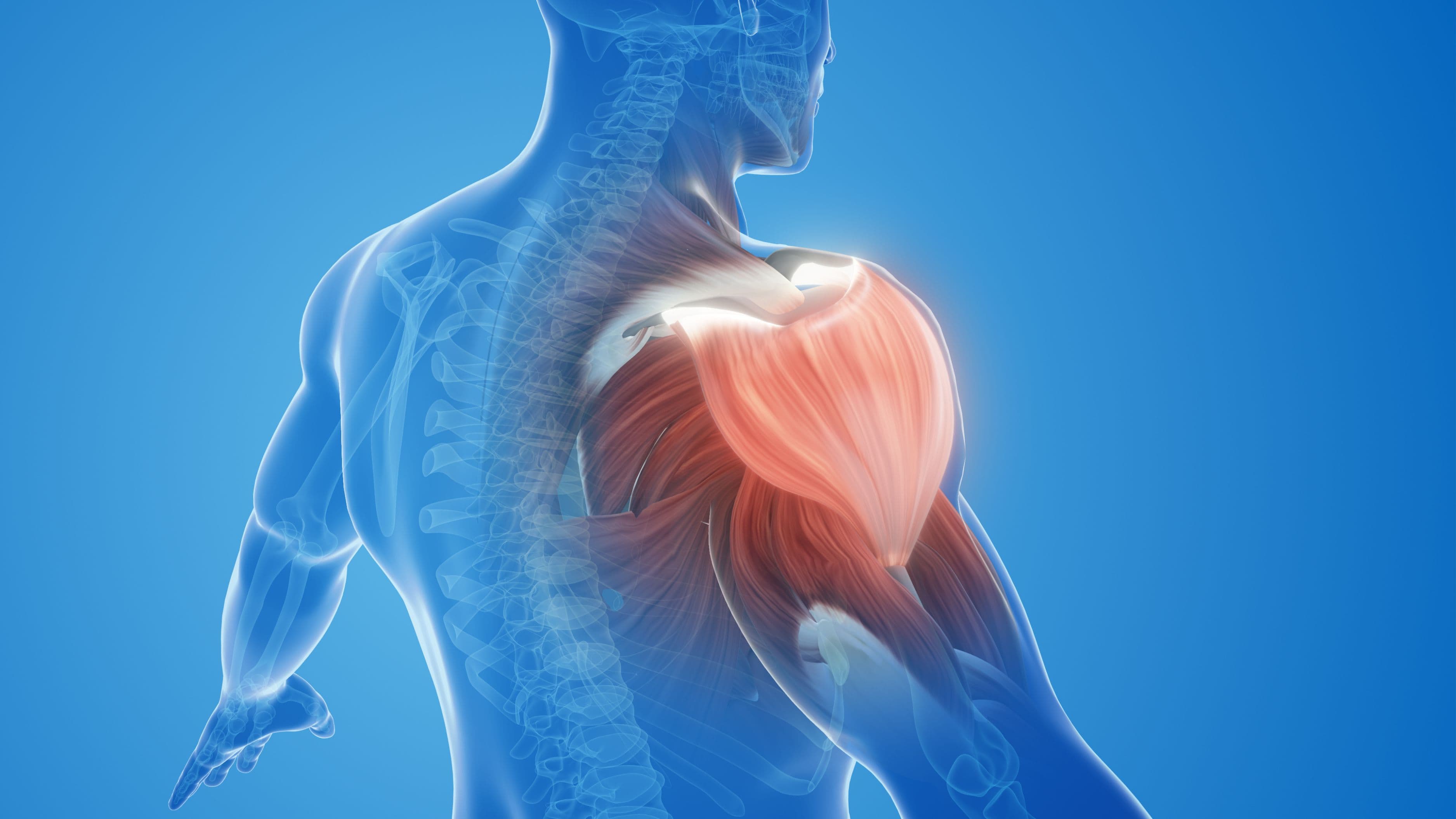 How Red Light Therapy Dosing Affects Muscle Repair Speed