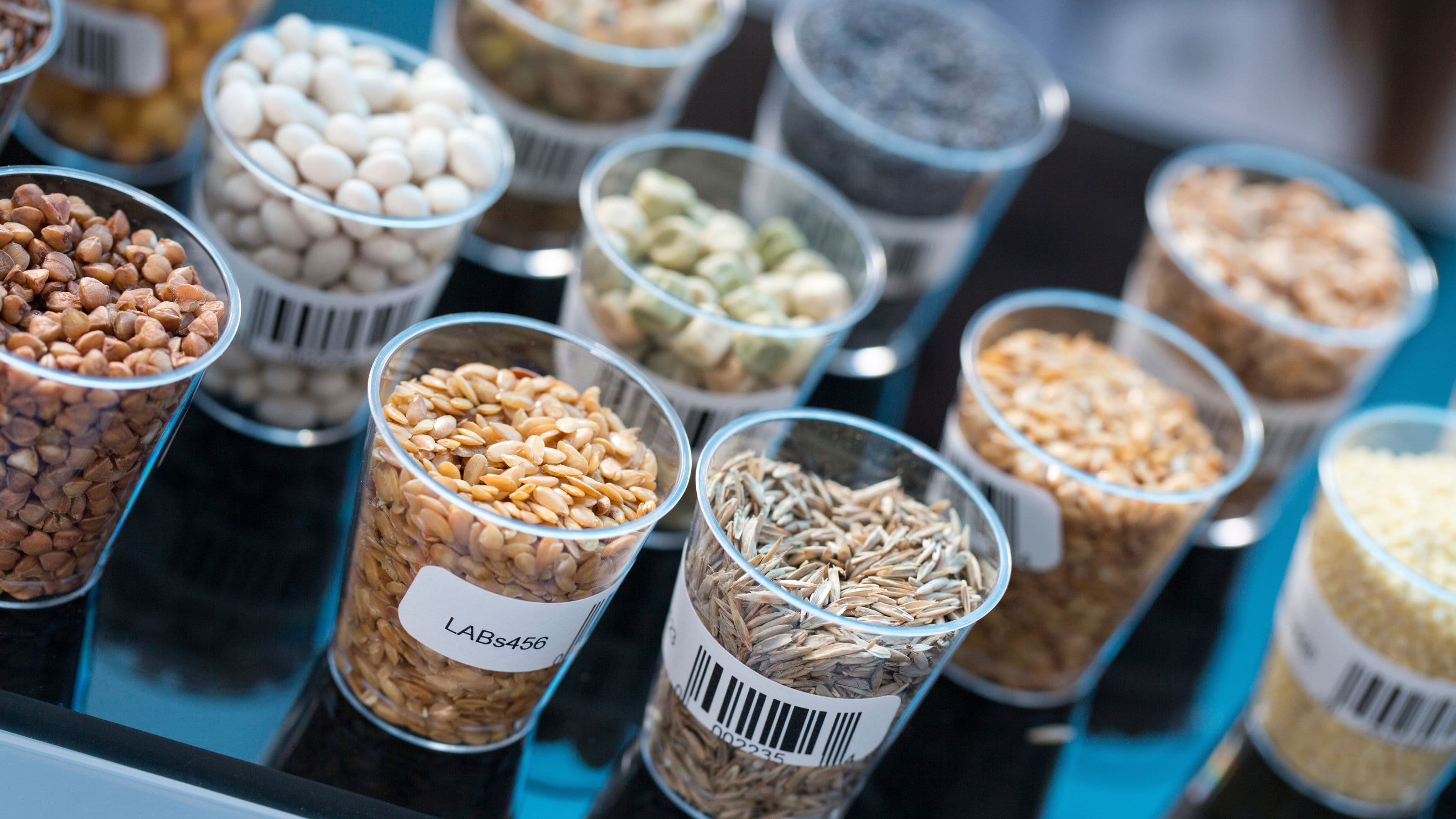 How Seed Cycling Became Noise — and What Actually Moves Hormones