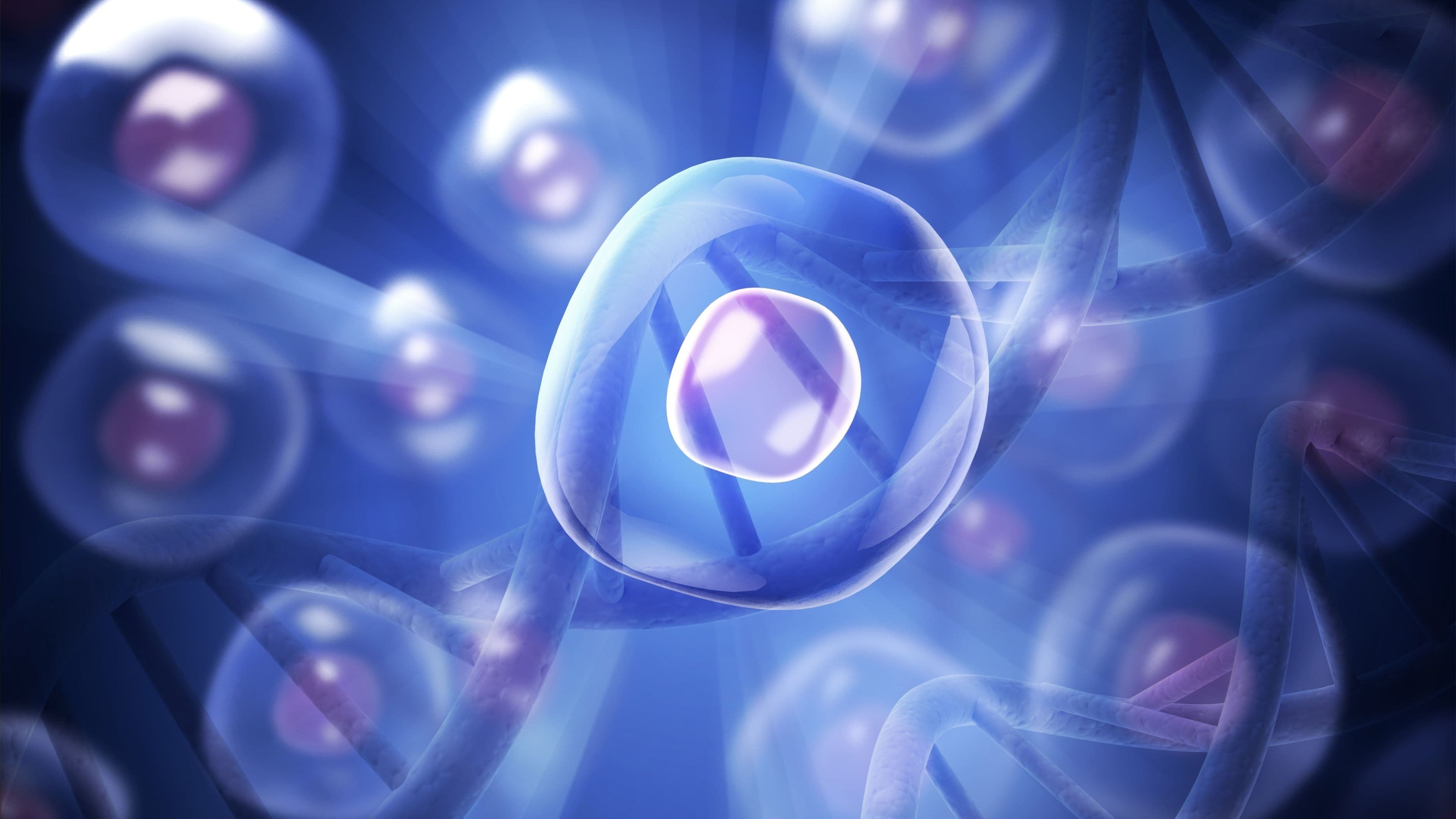 Senolytics and Their Role in Clearing Zombie Cells Before 50