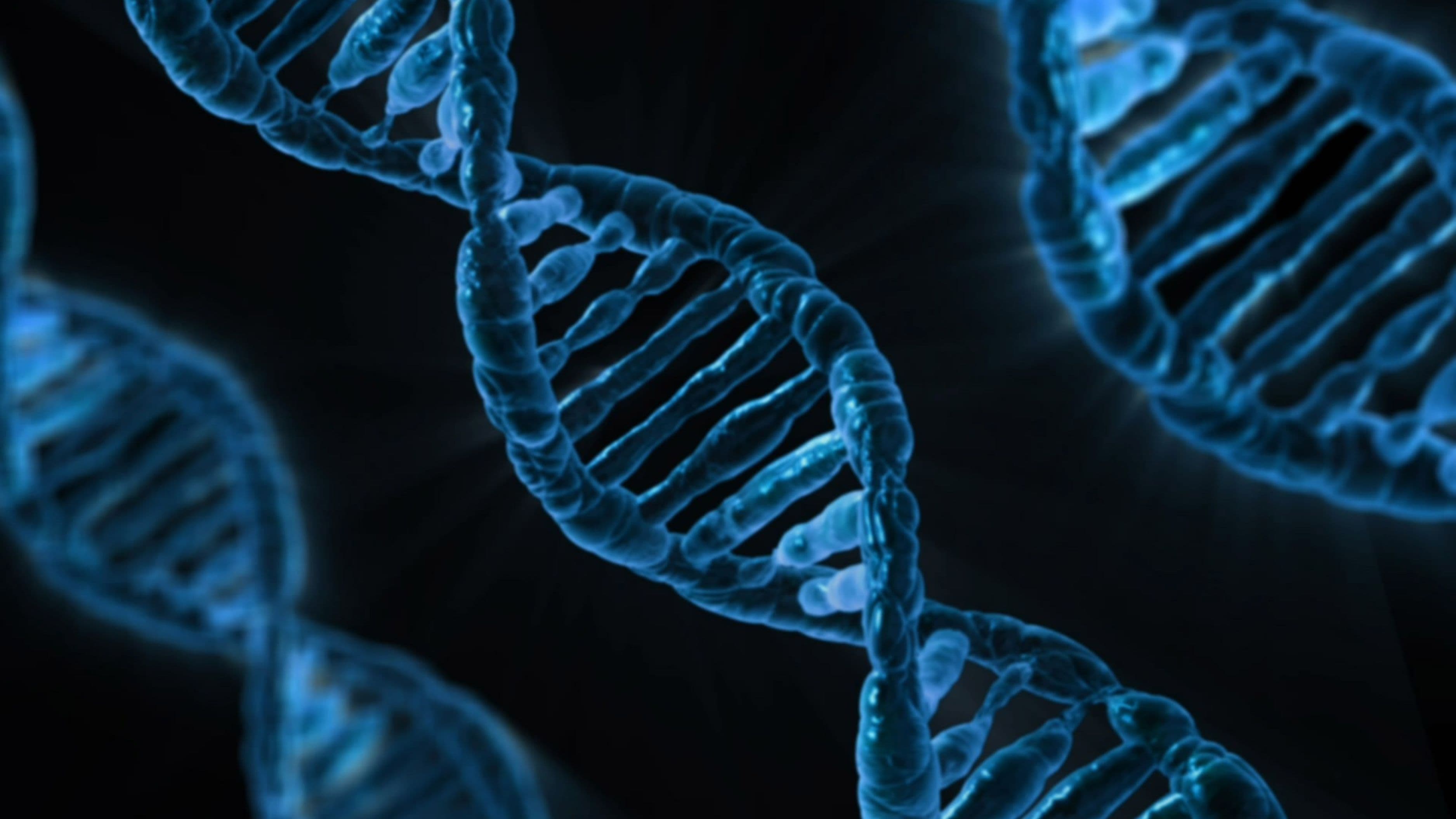 Does Spermine Supplementation Reverse Epigenetic Age?