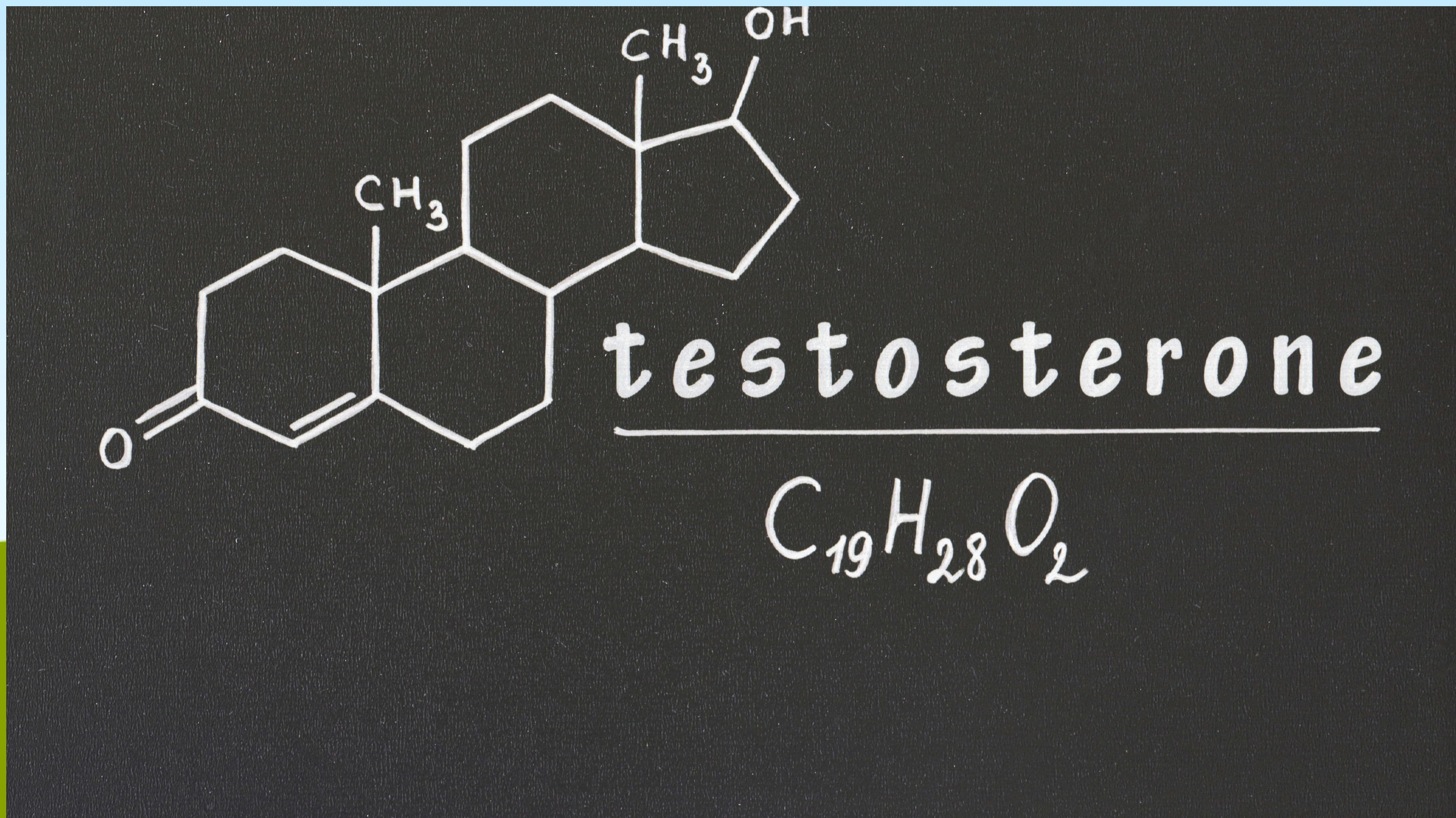 Does Tongkat Ali Meaningfully Raise Testosterone in Healthy Men?