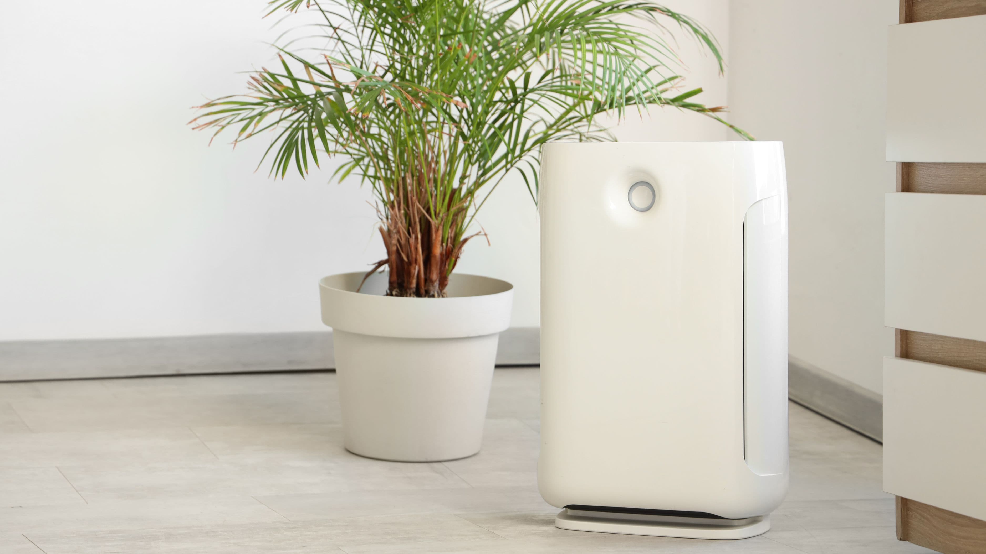 Does a Whole-House Air Purifier Outperform Room Units for Health Outcomes?